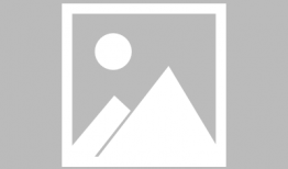 明星专门爆料吃瓜,明星爆料大揭秘，吃瓜群众狂欢时刻