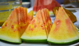 成都彩虹吃瓜爆料,揭秘娱乐圈幕后风云